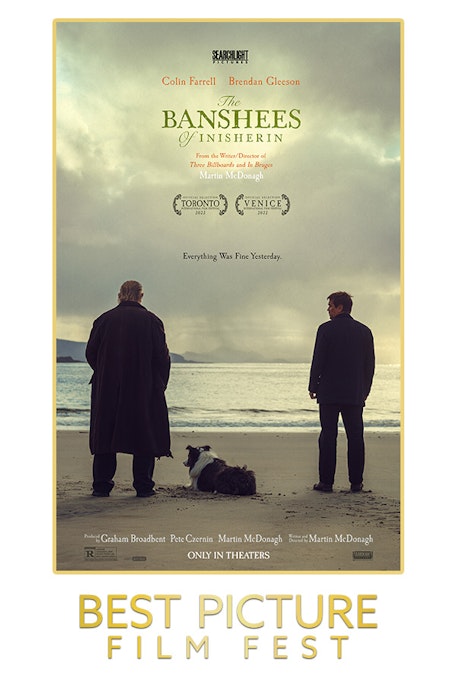 The Banshees of Inisherin: Best Picture Fest - FilmPosterGraphic